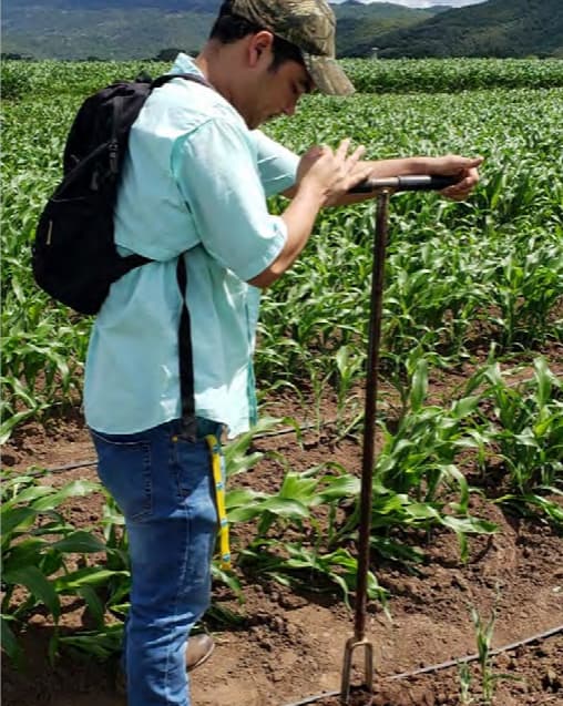 Análisis de biodiversidad del suelo en diferentes sistemas de manejo de labranza