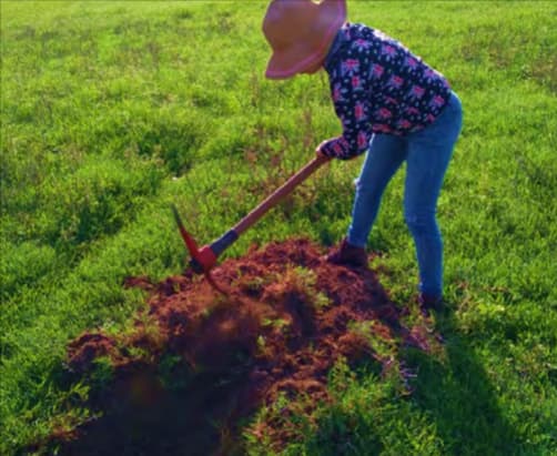 Análisis de biodiversidad del suelo en diferentes sistemas de manejo de labranza