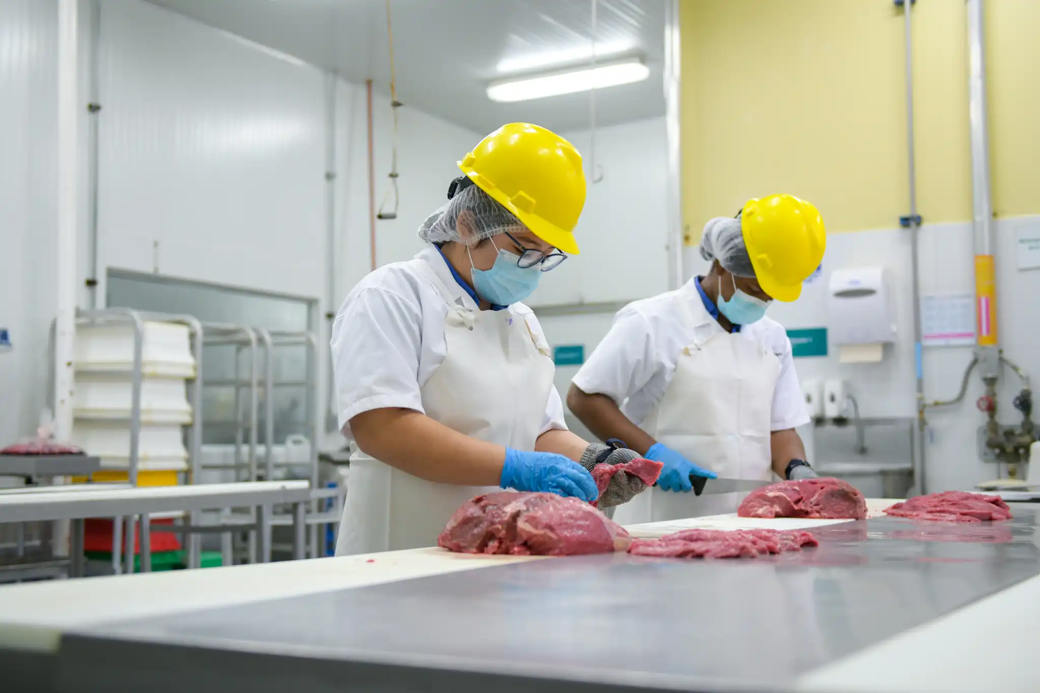 Estudiantes en proceso productivo en planta Zamorano