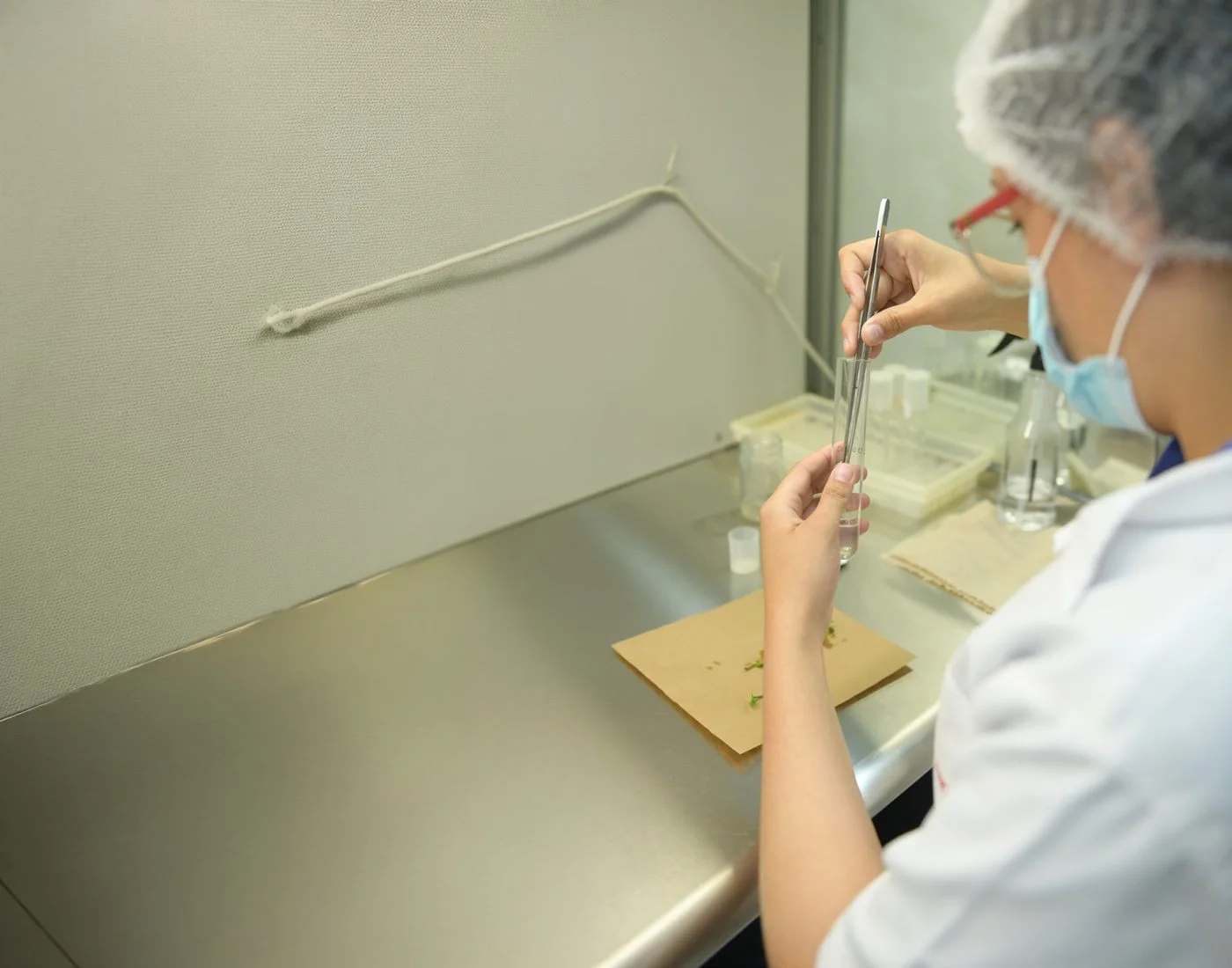 Laboratorio de Cultivo de Tejidos Vegetales de Universidad Zamorano