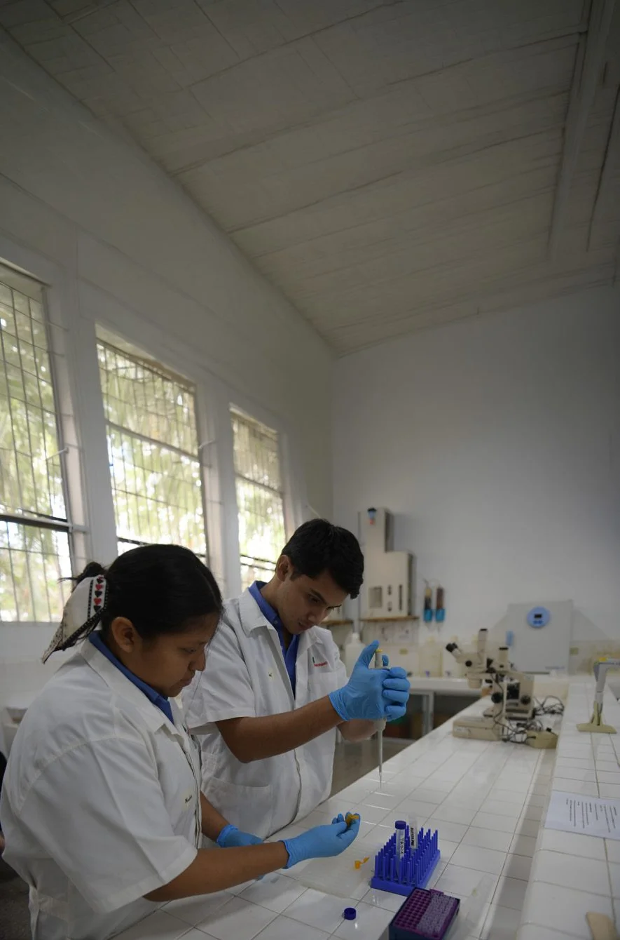 Laboratorio de Diagnóstico Molecular y Fitomejoramiento de Universidad Zamorano