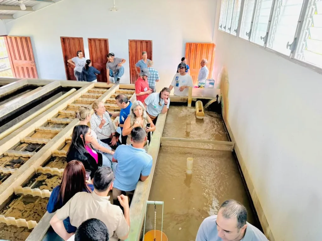 Grupo de participantes y miembros de la comunidad conversa junto a los tanques de una planta de tratamiento de agua AguaClara