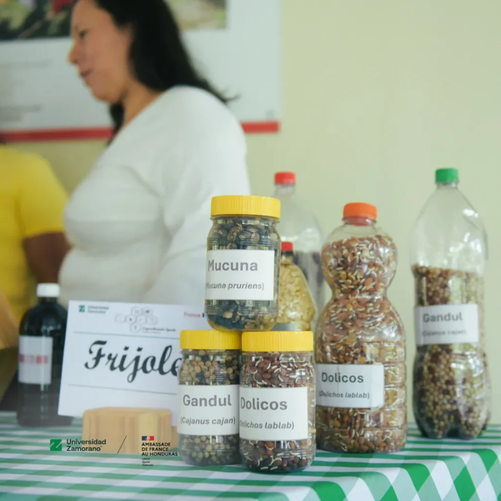 Frascos con semillas de mucuna, gandul y dolicos exhibidos durante la visita a la Finca Agroecológica
