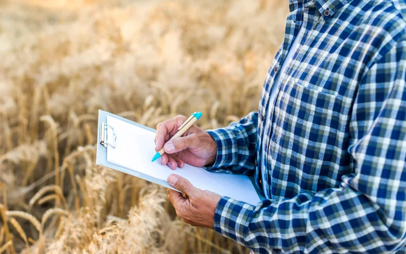 Manos de un productor con camisa a cuadros que toma notas en un portapapeles en un campo de trigo