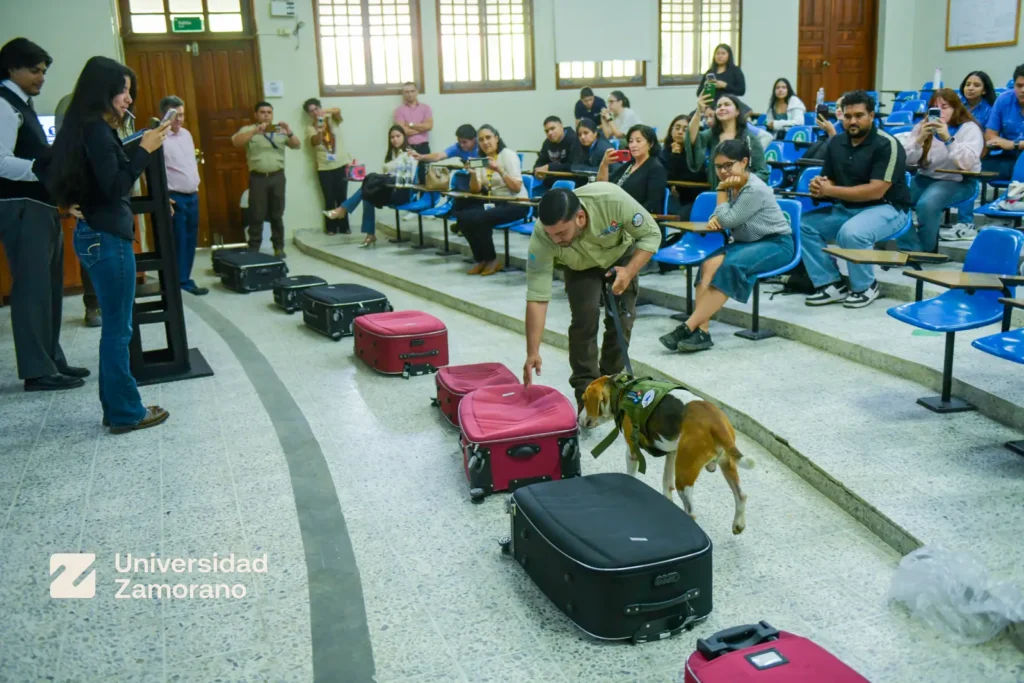 Perro detector de la Unidad Canina SEPA-OIRSA inspecciona maletas durante una demostración en la Universidad Zamorano
